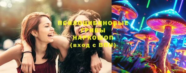 МДПВ Арсеньев