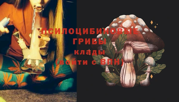 МДПВ Арсеньев