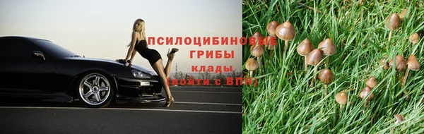 кокаин перу Аркадак