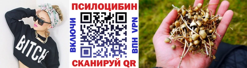 Галлюциногенные грибы Magic Shrooms магазин продажи Спас-Клепики